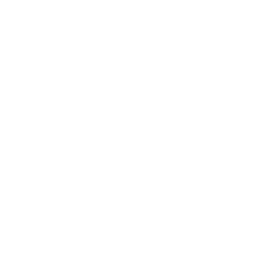 Perplexity logo